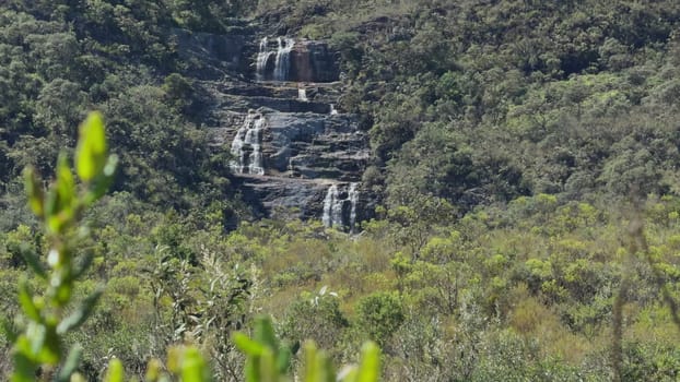 Breathtaking waterfalls cascade in lush Atlantic rainforest.