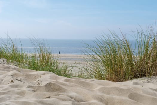 A serene sand beach adorned with patches of grass and gentle sand dunes bathed in the soft light of the sun, creating a peaceful and tranquil scene.