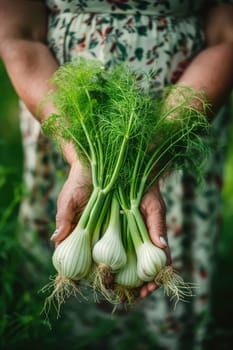 Harvest in the hands of a woman in the garden. Selective focus. nature.