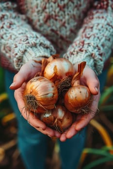 Harvest in the hands of a woman in the garden. Selective focus. nature.