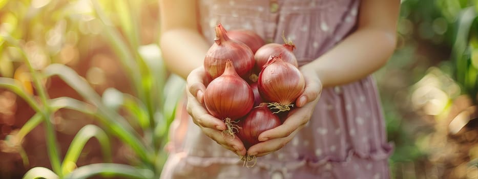 Harvest in the hands of a woman in the garden. Selective focus. nature.