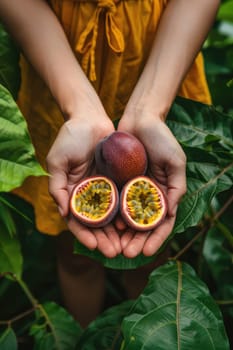 Harvest in the hands of a woman in the garden. Selective focus. nature.