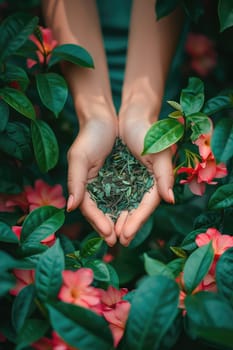 Harvest in the hands of a woman in the garden. Selective focus. nature.