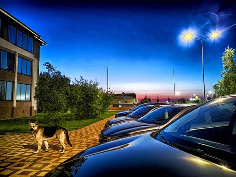 Night, village, houses and cars in the parking lot. Photography is like painting. Serene Village Nightfall With Parked Cars and Illuminated Homes