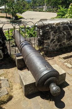 Cannon at Fort San Pedro in Cebu, Philippines, is a triangular-shaped fortress with lush greenery, historic cannons, and a view of the bustling city