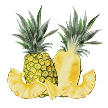 Pineapple watercolor drawing. Tropical fruit on isolated white background. Food exotic illustration for menu design, tags and cosmetics packaging. High quality illustration