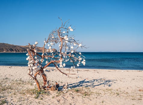 Handmade seashell decorations are hanging from the branches of a driftwood tree situated on a sandy beach. The ocean is visible in the background under a clear blue sky, providing a serene coastal scene.