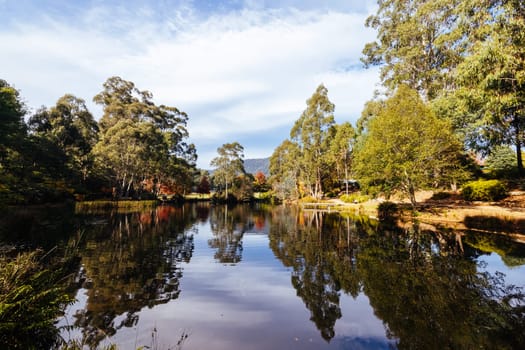 MARYSVILLE, AUSTRALIA - APRIL 28 2024: Gallipoli Park and lake in the quaint tourist country town of Marysville on an autumn morning in Victoria, Australia