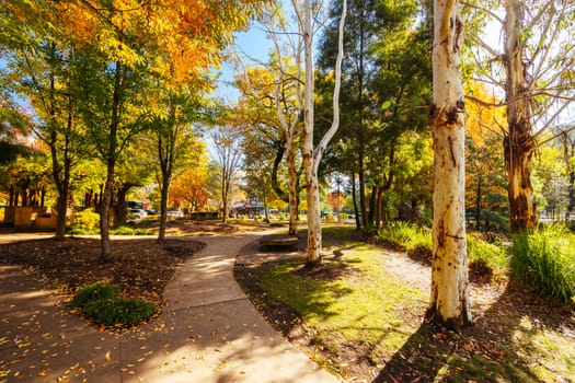 MARYSVILLE, AUSTRALIA - APRIL 28 2024: Gallipoli Park in the quaint tourist country town of Marysville on an autumn morning in Victoria, Australia