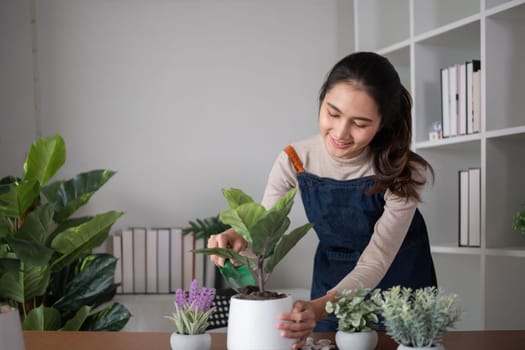 A young Asian woman is enjoying planting a garden in her home to create a shady atmosphere in her home..