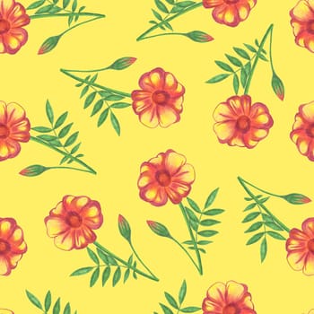 Marigold Flower Seamless Pattern. Hand Drawn Floral Digital Paper on Yellow Background.