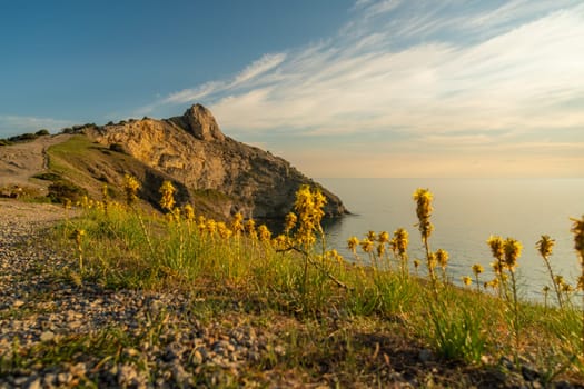 A rocky hillside with a view of the ocean and a field of yellow flowers. The scene is serene and peaceful, with the sun shining brightly on the flowers and the water