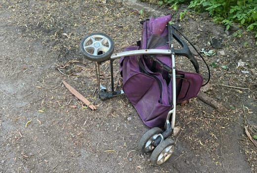 garden cart with two walnuts in the garden in early fall. High quality photo