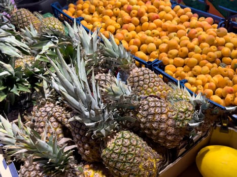 A close up of many different fruits and vegetables. High quality photo