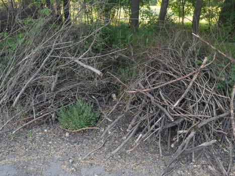 A pile of tree branches on the ground, making firewood. High quality photo