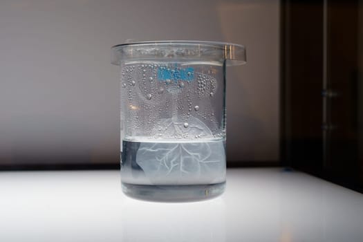 A discolored plant leaf observed in a test tube filled with liquid under laboratory conditions, showcasing an experiment in a controlled environment. The setup is intended for chemistry and biology research.