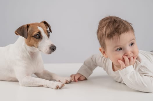 Cute baby boy and Jack Russell terrier dog lying in an embrace on a white background