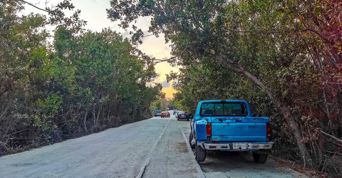 Path road and trail in the tropical nature jungle in Playa del Carmen Quintana Roo Mexico.