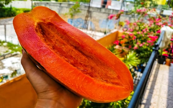 Half papaya in hand with background in Playa del Carmen Quintana Roo Mexico.