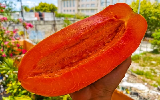 Half papaya in hand with background in Playa del Carmen Quintana Roo Mexico.