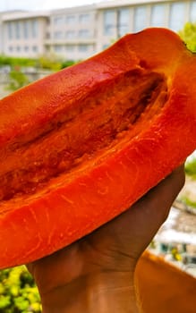 Half papaya in hand with background in Playa del Carmen Quintana Roo Mexico.