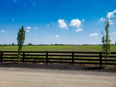 View of a Fenced Agricultural Field with New Growth During a Sunny Day