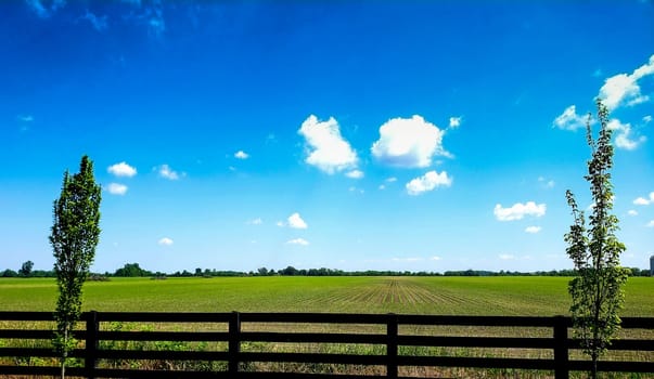 View of a Fenced Agricultural Field with New Growth During a Sunny Day