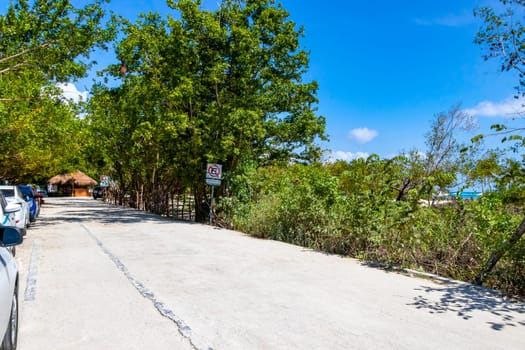 Path road and trail in the tropical nature jungle in Playa del Carmen Quintana Roo Mexico.