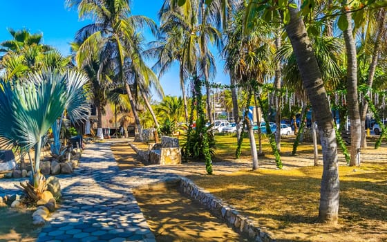 Restaurant restaurants bar bars shops hotels palms palm trees and promenades on the beach in Zicatela Puerto Escondido Oaxaca Mexico.