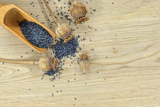 Wooden scoop filled with poppy seeds and several dried poppy seed pods arranged on a light colored wooden table