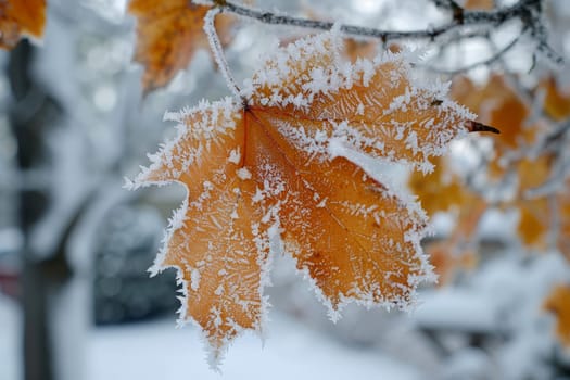 Frosty Morning on maple Leaf with frost in late autumn or early winter. Generated AI..