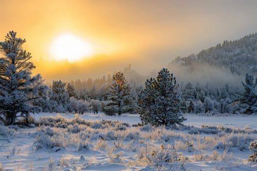 Winter landscape with hoarfrost-covered trees and a misty sunrise.ai generative.