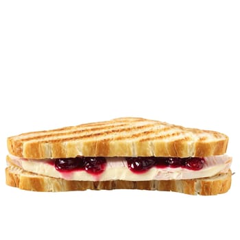 Turkey and brie panini sandwich sliced turkey brie cheese cranberry sauce sourdough bread pressed Culinary. Food isolated on transparent background