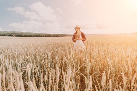 Woman farmer walks through a wheat field at sunset, touching green ears of wheat with his hands. Hand farmer is touching ears of wheat on field in sun, inspecting her harvest. Agricultural business.