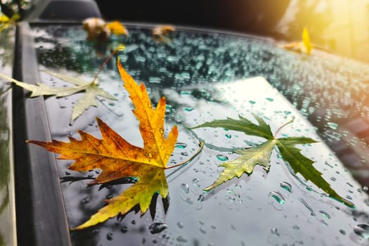 It's time to prepare the car for winter as an autumn leaves and raindrops has fallen onto the windshield.