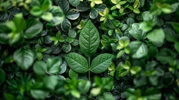 Background texture of leaves. Background of green leaves. Sustainability and environmental friendliness.