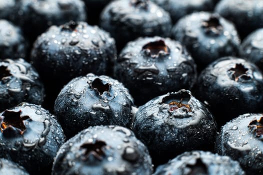 Close-up macro shot Wet fresh Blueberry background. Healthy berries.