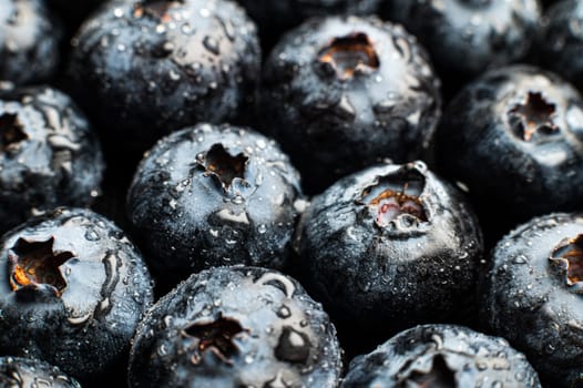 Close-up macro shot Wet fresh Blueberry background. Healthy berries.