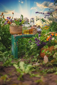 Plants and herbs, nature, alternative medicine. Selective focus Nature