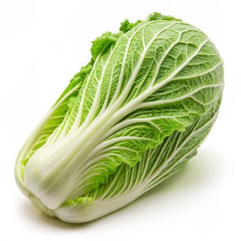 Fresh whole Chinese cabbage on a white background. Ai generated image