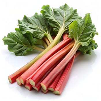 Rhubarb stalks isolated on a white background. Ai generated image