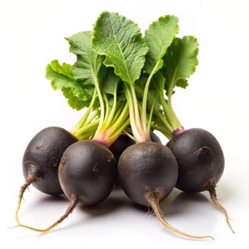 Black radish isolated on a white background. Ai generated image