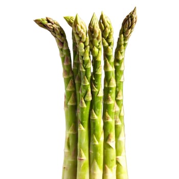 Fresh asparagus spears spinning tips glistening steam rising Asparagus officinalis Food and Culinary concept. Food isolated on transparent background.