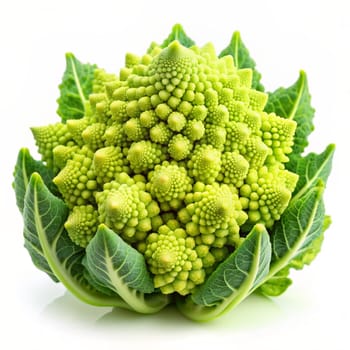 Romanesco broccoli cabbage (or Roman Cauliflower) isolated on a white background. Ai generated image