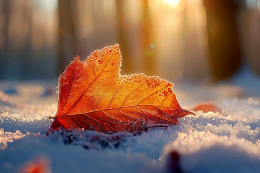 Frosty Morning on maple Leaf with frost in late autumn or early winter. Generated AI..