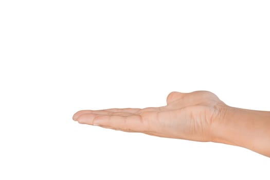 female hand holding something isolated on white background.