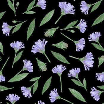 Simple Cornflower Floral Seamless Pattern on a Black Background. Hand Drawn Simple Cornflower Digital Paper. Wild Meadow Flowers Drawn by Colored Pencils.