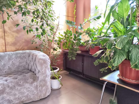 Sophisticated lounge area adorned with greenery and stylish furniture. Elegant Living Room With Plush Sofa and Indoor Plants. Background, location