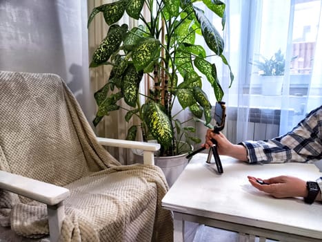 Person Creating Content With Smartphone and Tripod in a Cozy Room. A content creator sets up smartphone on a tripod beside a plant and chair