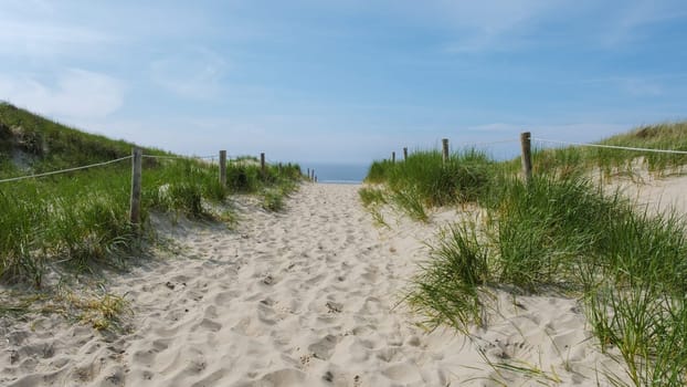 A picturesque path winding through grassy sand dunes leading to the pristine beaches of Texel, Netherlands.